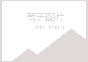 安图县释怀冶炼有限公司